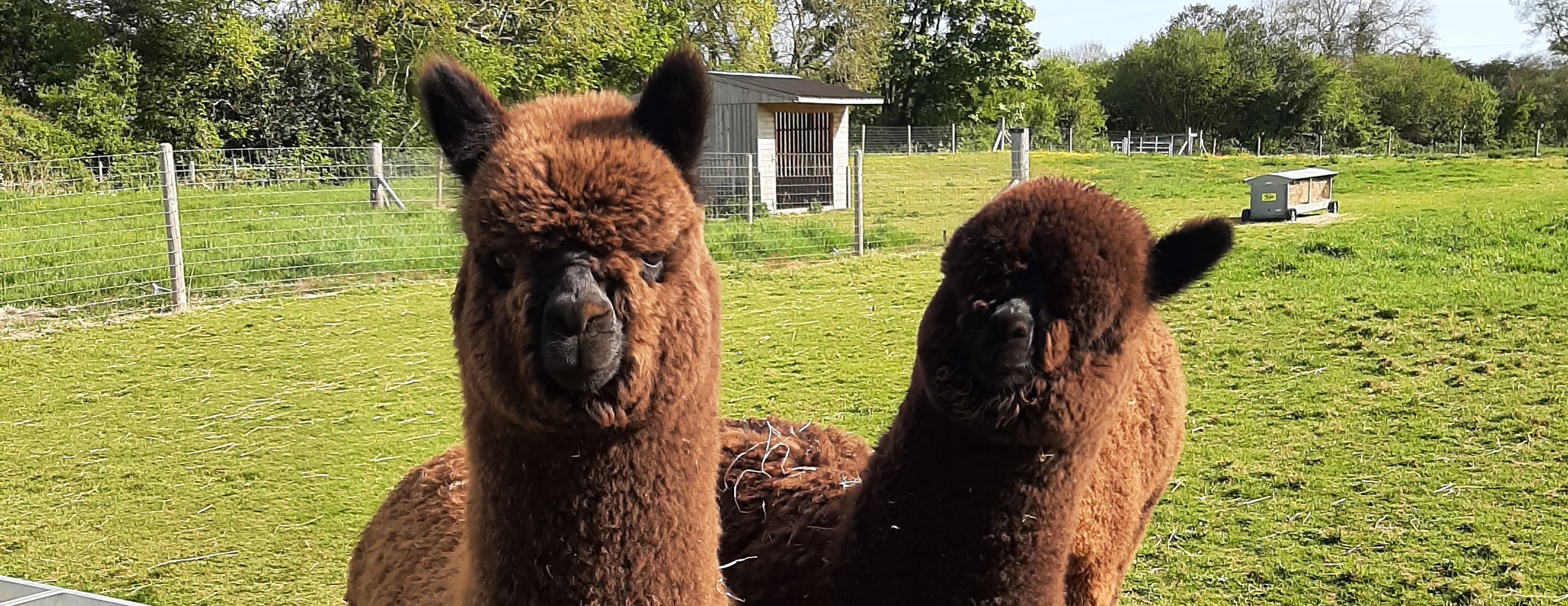 We are open Wednesdays to Sundays 10am to 4pm